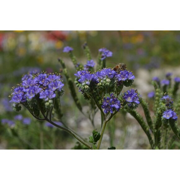 Nikon D5100 Digital SLR Camera 16.2MP HD Video Nikon Lens 64GB SD 11,682 Clicks - Picture 6 of 16